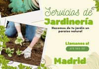 Transforma tu jardín en un oasis verde... ANUNCIOS Buenanuncios.es