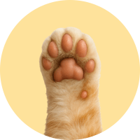 Mascotas